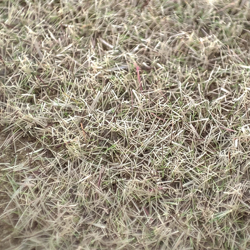 100G 3mm Blended Season Grass Static Grass for scale train railway layout miniature model materials static flocking fibers