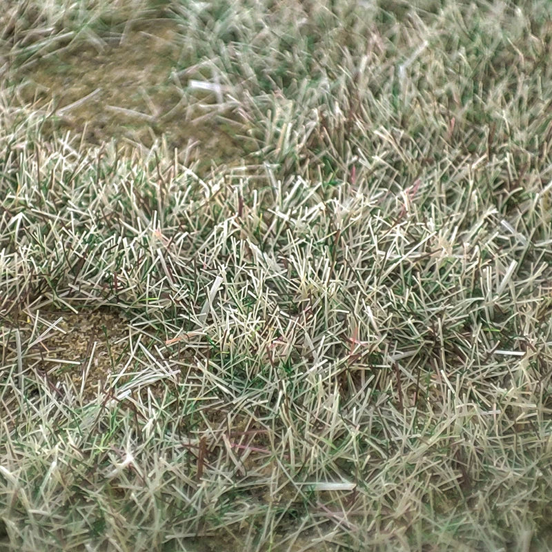 100G 3mm Blended Season Grass Static Grass for scale train railway layout miniature model materials static flocking fibers