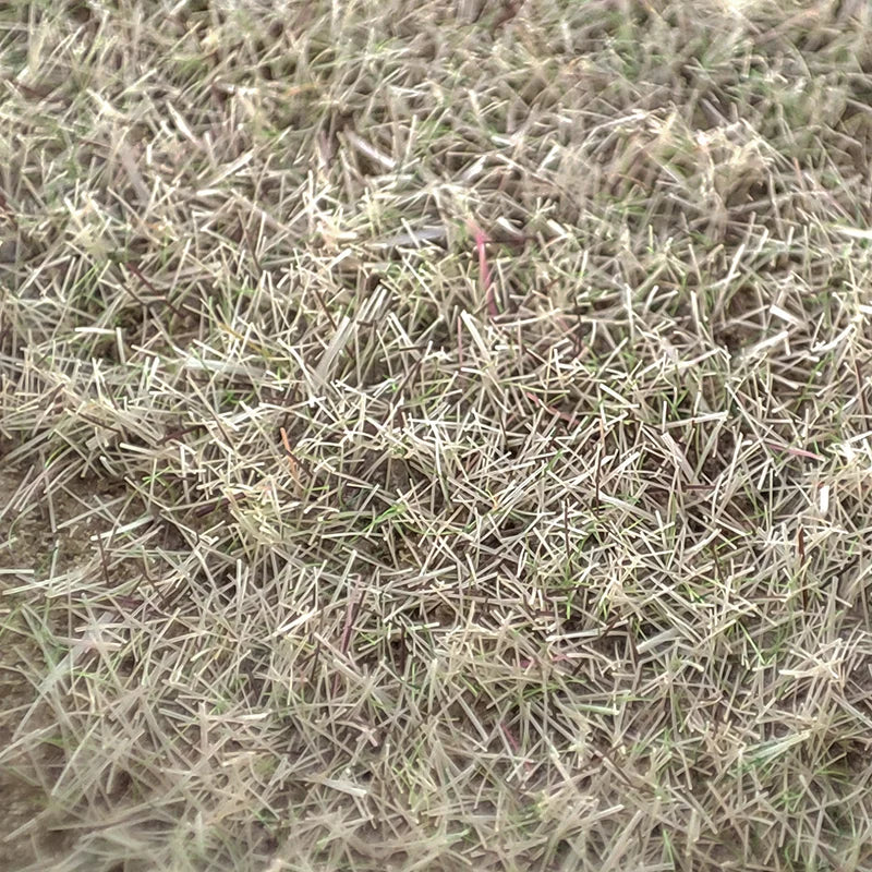 100G 3mm Blended Season Grass Static Grass for scale train railway layout miniature model materials static flocking fibers