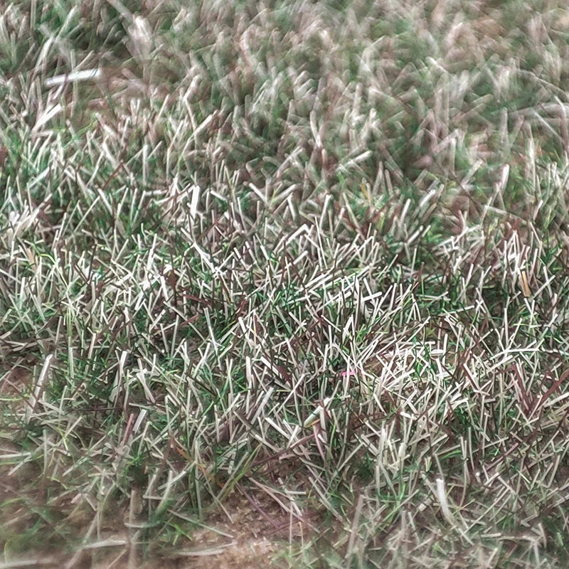 100G 3mm Blended Season Grass Static Grass for scale train railway layout miniature model materials static flocking fibers