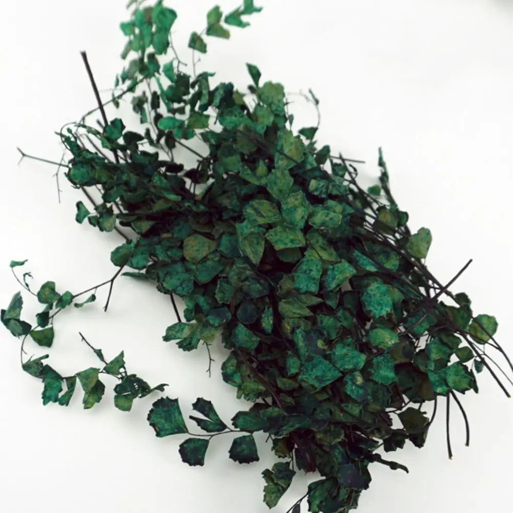 1 Box Scene Model Micro Landscape DIY Accessories 1 Box Miniature Plant Creepers Simulation Rattan Leaves Sand Table Vegetation